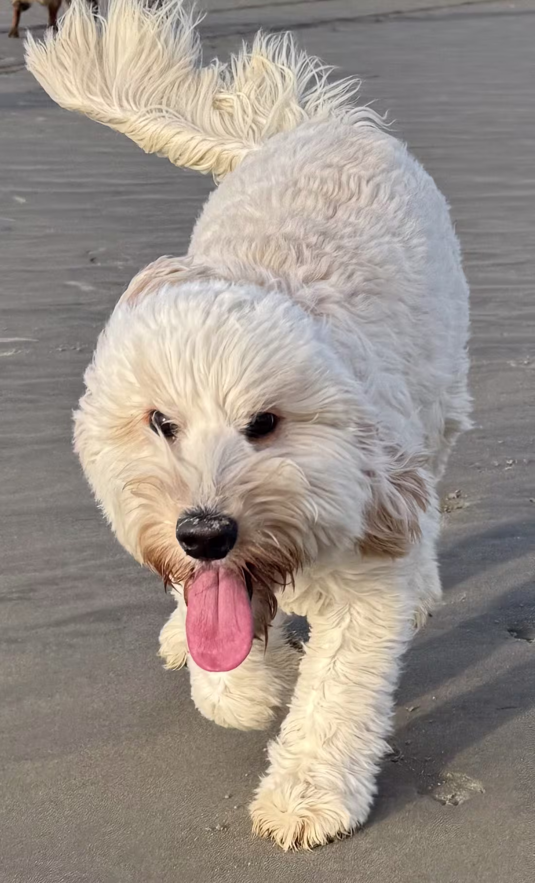 doodle op het strand